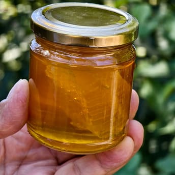 Honig-im-Glas-1600x1600 Honig im Glas
