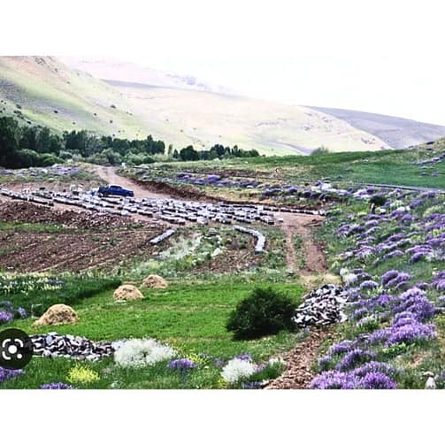 Hochland von Anatolien bei Sivas Hochland von Anatolien bei Sivas | Honigmond Gourmet